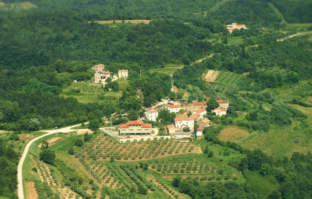 Al Merlo Olivo, Rural Istrian House Буйе Экстерьер фото